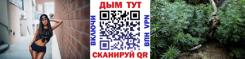 Бошки марихуана OG Kush  купить наркотик  Дегтярск 